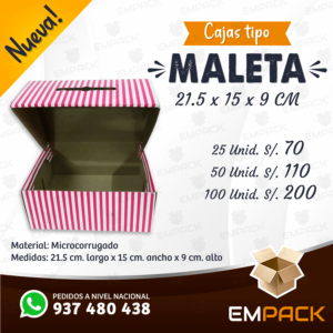maleta-1